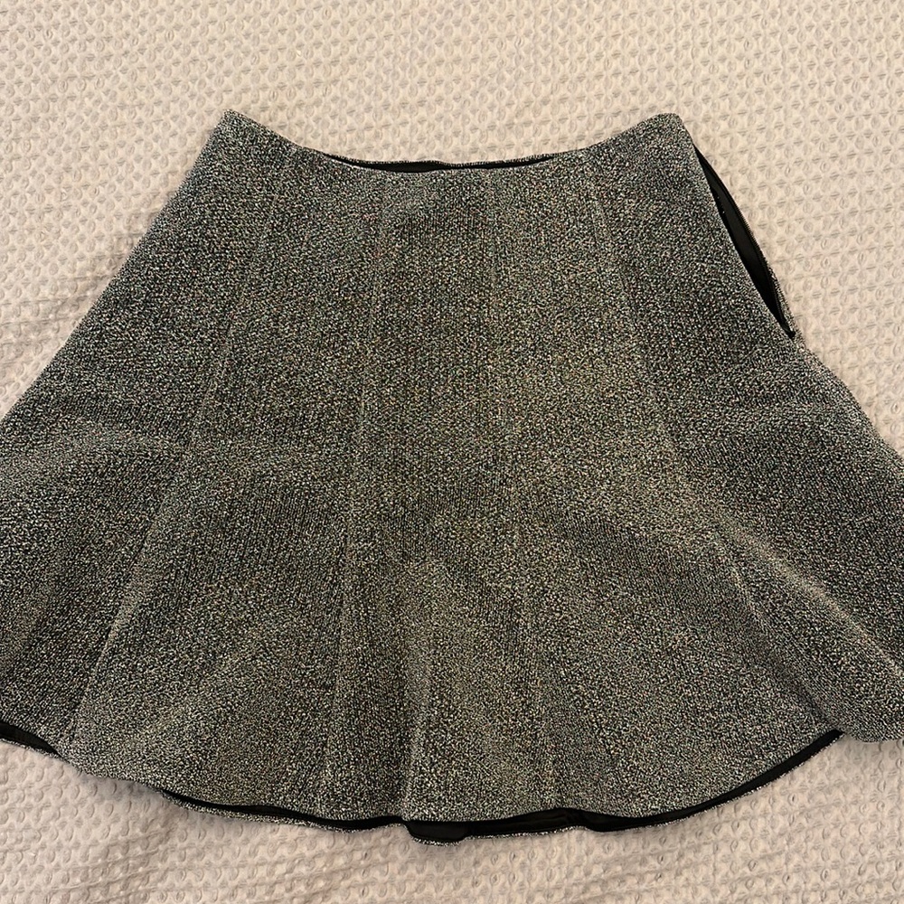 Express Sparkly Skirt